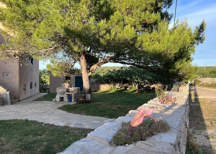 Holiday Apartment