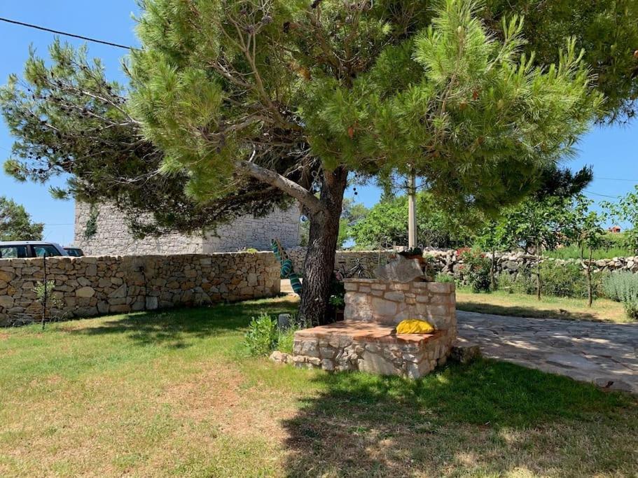 Apartma Holiday Apartment